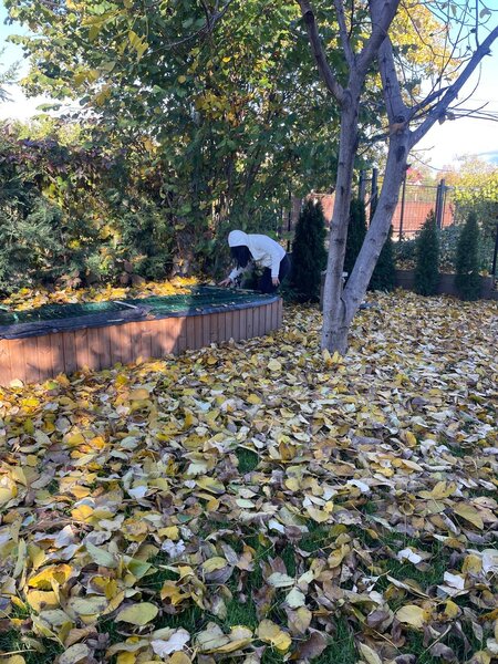 Izvoarele,Valeni de Munte,Prahova